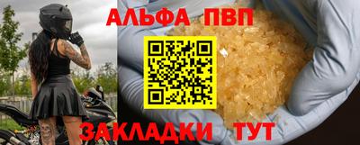 прущие крисы Кингисепп