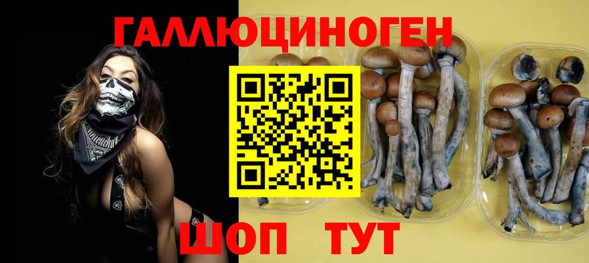 Галлюциногенные грибы прущие грибы  Вход с VPN  Красногорск 